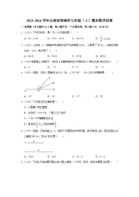 +云南省曲靖市2023-2024学年七年级上学期期末数学试卷