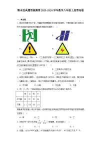 期末经典题型检测卷2023-2024学年青岛版数学八年级上册