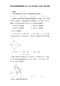 期末经典题型检测卷2023-2024学年苏科版数学八年级上册