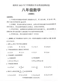 湖南省郴州市桂阳县2023-2024学年八年级上学期1月期末数学试题