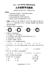 重庆市巴南区2023-2024学年上学期期末检测九年级数学试题