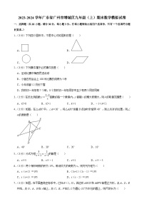 广东省广州市增城区2023-2024学年九年级上学期期末数学模拟试卷