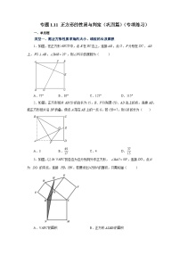 北师大版九年级数学上册基础知识专项讲练 专题1.11 正方形的性质与判定（巩固篇）（专项练习）