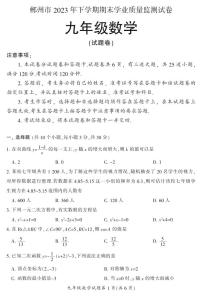 湖南省郴州市苏仙区2023-2024学年九年级上学期1月期末数学试题含答案