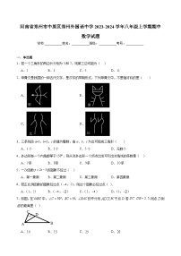 郑州外国语学校2023-2024学年八年级上学期期中考试数学试卷(含解析)