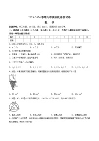 山西省吕梁市离石区多校联考2024届九年级上学期11月月考数学试卷(含答案)