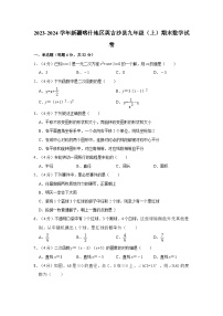 2023-2024学年新疆喀什地区英吉沙县九年级（上）期末数学试卷