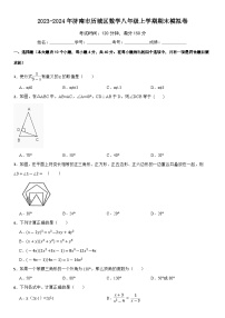 2023-2024济南市历城区数学八年级上学期期末模拟卷