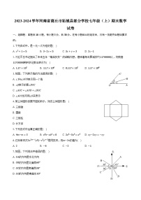 2023-2024学年河南省商丘市柘城县部分学校七年级（上）期末数学试卷（含解析）