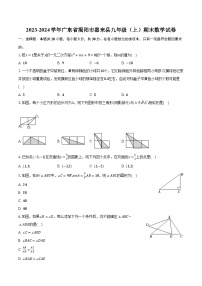 2023-2024学年广东省揭阳市惠来县九年级（上）期末数学试卷（含解析）