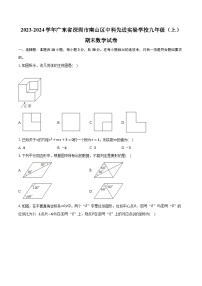 广东省深圳市南山区中科先进实验学校2023-2024学年九年级上学期期末数学试卷+