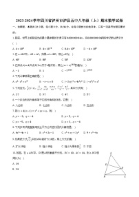 2023-2024学年四川省泸州市泸县五中八年级（上）期末数学试卷(含解析）