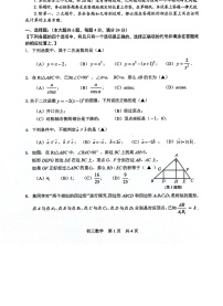 2024届松江区初三一模数学试卷无答案