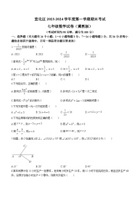 河北省张家口市宣化区2023-2024学年七年级上学期期末数学试题（冀）