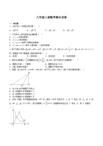 【专项练习】全套专题数学八年级上册 期末试卷（原卷版）（习题及答案）