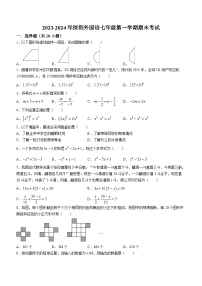 广东省深圳外国语学校2023-2024学年七年级上学期期末数学试题