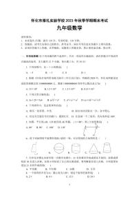 湖南省怀化市雅礼实验学校2023-2024学年九年级上学期期末考试数学试题