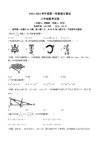 广东省东莞市东莞中学松山湖学校2023-2024学年八年级上学期期末数学试题(无答案)