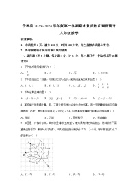 2023-2024学年陕西省榆林市子洲县八年级（上）学期期末数学试题（含解析）