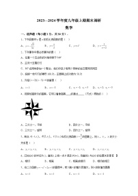 2023-2024学年河南省周口市西华县九年级（上）学期期末数学试题（含解析）