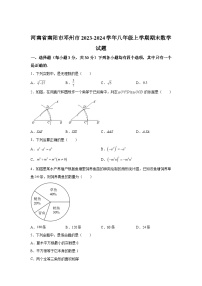 2023-2024学年河南省南阳市邓州市八年级（上）学期期末数学试题（含解析）