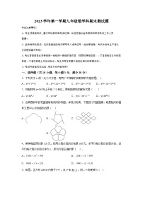 2023-2024学年广东省广州市番禺区九年级（上）学期期末数学试题（含解析）