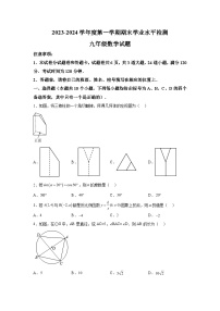 2023-2024学年山东省烟台市莱州市教育科学研究院九年级（上）学期期末数学试题（含解析）