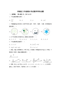 2023-2024学年黑龙江省哈尔滨市阿城区八年级（上）学期期末数学试题（含解析）