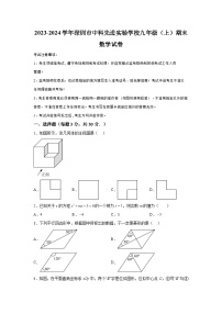 2023-2024学年广东省深圳市中国科学院深圳先进技术研究院实验学校九年级（上）学期期末数学试题（含解析）