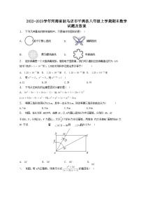 2022-2023学年河南省驻马店市平舆县八年级上学期期末数学试题及答案