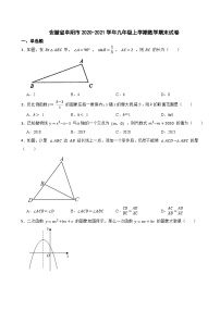 安徽省阜阳市2020-2021学年九年级上学期数学期末试卷