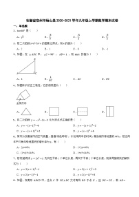 安徽省宿州市砀山县2020-2021学年九年级上学期数学期末试卷