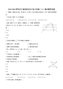 2023-2024学年辽宁省沈阳市辽中区九年级（上）期末数学试卷（含解析）