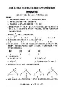 重庆市丰都县2023-2024学年八年级上学期1月期末数学试题