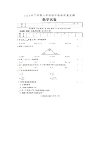 2023年湖南省张家界市桑植县八年级下学期期中考试数学试卷