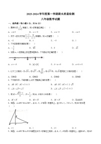 河北省秦皇岛市昌黎县2023-2024学年八年级上学期期末数学试题