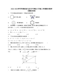 2022-2023学年河南省驻马店市平舆县八年级上学期期末数学试题及答案