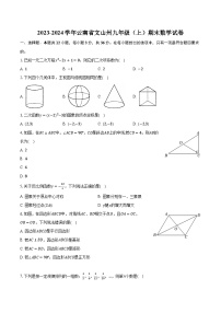 2023-2024学年云南省文山州九年级（上）期末数学试卷（含解析）