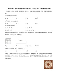 2023-2024学年河南省洛阳市偃师区八年级（上）期末数学试卷（含解析）