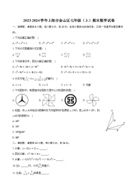 2023-2024学年上海市金山区七年级（上）期末数学试卷（含解析）