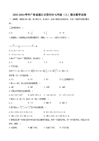 2023-2024学年广东省湛江市雷州市七年级（上）期末数学试卷（含解析）