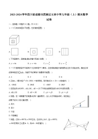 2023-2024学年四川省成都市武侯区玉林中学九年级（上）期末数学试卷（含解析）