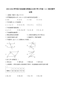 2023-2024学年四川省成都市武侯区玉林中学八年级（上）期末数学试卷（含解析）