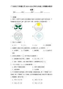 广东省江门市蓬江区2023-2024学年九年级上学期期末数学试题(含答案)