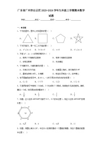 广东省广州市白云区2023-2024学年九年级上学期期末数学试题(含答案)