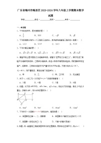 广东省梅州市梅县区2023-2024学年八年级上学期期末数学试题(含答案)