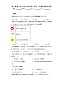 湖北省咸宁市2023-2024学年七年级上学期期末数学试题(含答案)