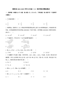 山西省吕梁市柳林县2022-2023学年七年级上学期期末模拟测试数学试卷(含解析)