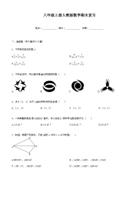 人教版2023-2024学年八年级上学期期末复习数学试卷