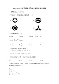 人教版2023-2024学年八年级数学上册期末复习训练题